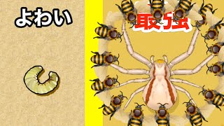 めちゃくちゃ増やしたハチでクモを襲って捕まえてみた#2【 Pocket Bees 】