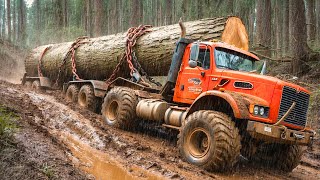 69 Extreme Dangerous Big Logging Wood Truck Driving Skill | Fastest Chainsaw Cutting Tree Machines#2