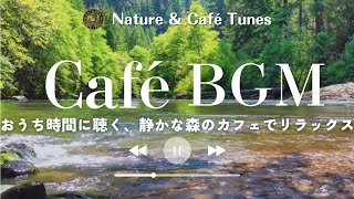 【Work & Study BGM】Relaxing Piano Bossa Nova with Gentle River Sounds 🌿 (Focus/Reading/Stress Relief)
