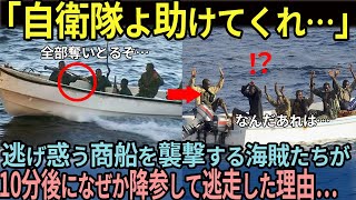【海外の反応】「自衛隊よ助けてくれ…」海賊に追われる商船が10分後に逃げ去った理由…