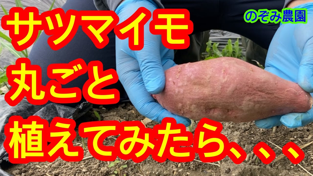 サムネ