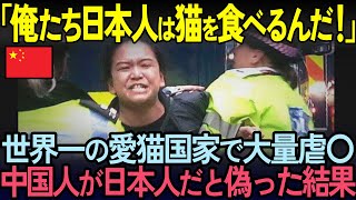 【海外の反応】「本当に同じ惑星の人たちなの？」中国人観光客が子猫を持ち帰り食べる事件発生！トルコで猫が中国人にだけ寄り付かない理由とは
