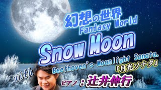 SnowMoon＊幻想の世界＊Fantasy World:with Beethoen's MoonLight Sonata『月光ソナタ』ピアノ：辻井伸行