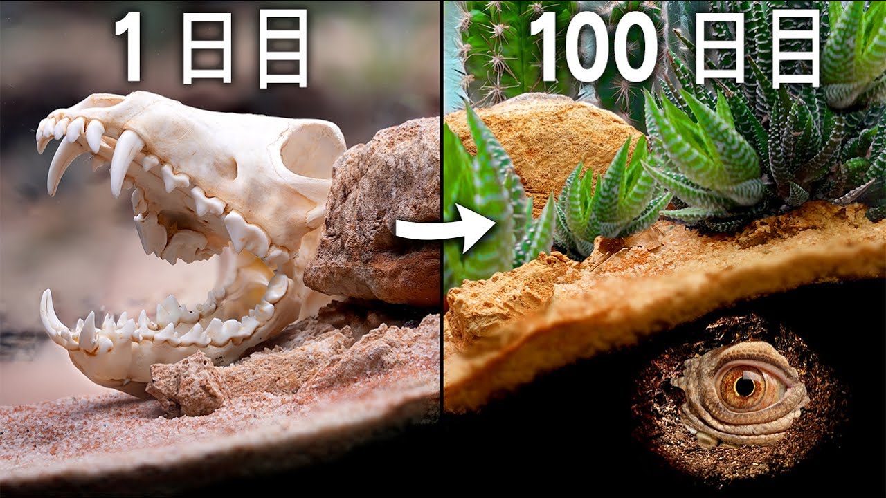 サムネ