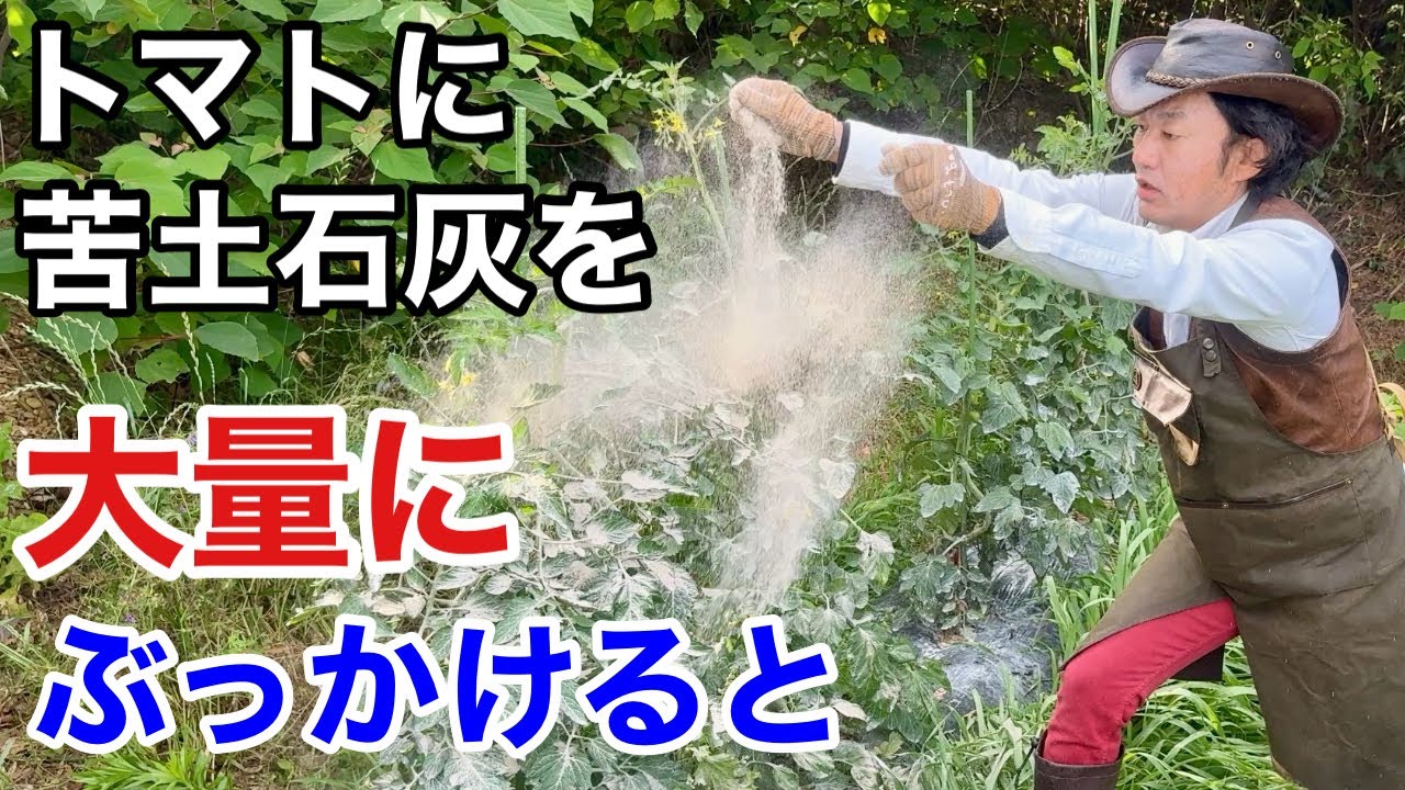 サムネ