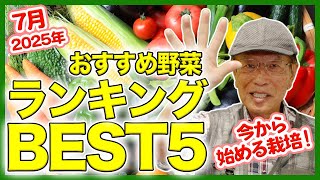 家庭菜園や農園の夏野菜栽培2025年7月おすすめ野菜ランキングBEST5！【農家直伝】