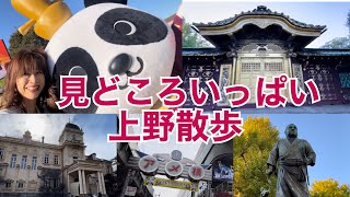【上野公園とその周辺散歩】上野公園はたくさんの美術館、博物館やレトロな建物があります。江戸時代の歴史スポット、お寺もお散歩しながら回ってみました。すべて歩いて行けます。東京観光に上野は外せませんね。