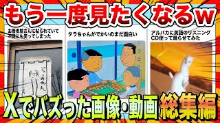 【🔥イッキ見スペシャル】何度でも見たいXでバズった爆笑画像&動画集www【ゆっくり解説】【コメ付き】【2chスレ】【面白画像】【総集編】
