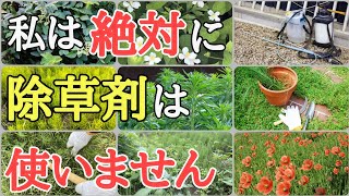 雑草対策｜除草剤不要で雑草を生えなくする方法6選
