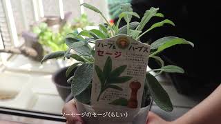 夜中3:30に酔っ払いにドアガチャされた