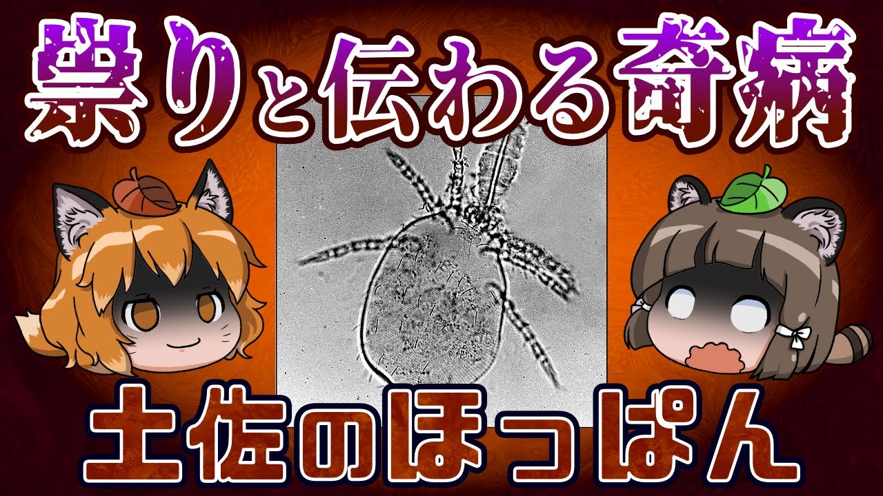 サムネ