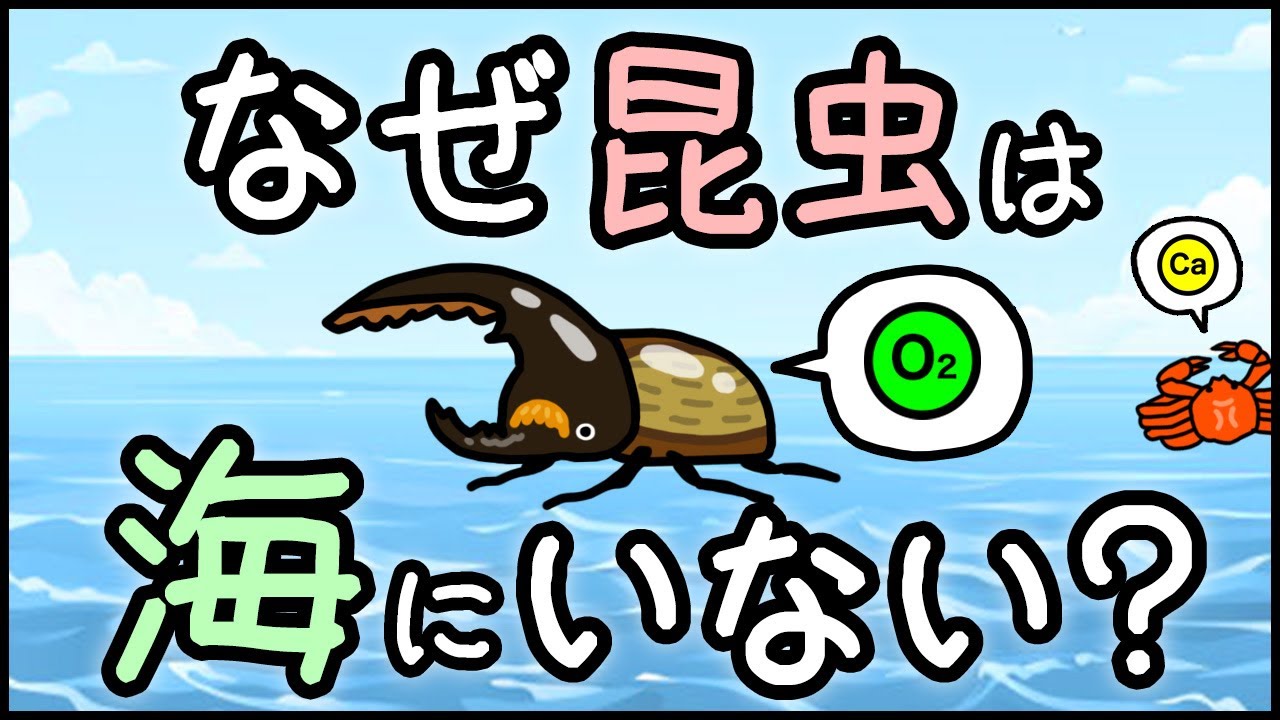 サムネ