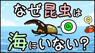 【100年以上未解決】小学生でもわかる・昆虫が海にいない理由【科学・ざっくり解説】