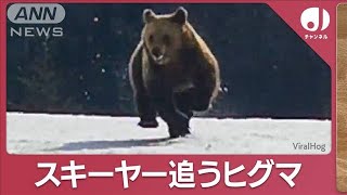 「みんな逃げて！」ヒグマ”猛追3分間”スキーヤー追うヒグマ(2023年11月24日)【スーパーJチャンネル】