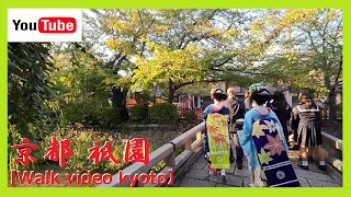【京都Walk/祇園/舞妓】煌びやかな秋の🍁もみじ模様🍁だらりの帯が夕日に映えて…🎵舞妓さん2人が巽橋⛩️に現れ😊😺外国人観光客も何事かとびっくりボー然😲😝❗ 4 to 6 pm 2023 No49