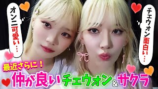 【LE SSERAFIM】お互いさらに惹かれはじめたサクラとチェウォン【日本語字幕】
