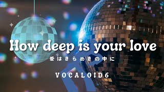 VOCALOID6 | How Deep Is Your Love | 歌詞【字幕付】With Lyrics | Bossa Nova Style Cover | 愛はきらめきの中に