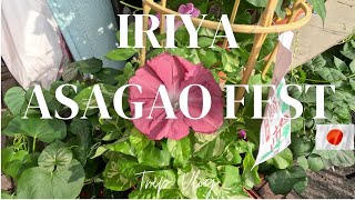 VLOG 3  Iriya Asagao Festival・Fujizuka・ Iriya Specialties・ Cafe/Tokyo 【入谷朝顔祭・富士塚・入谷名物・カフェ　東京散歩】