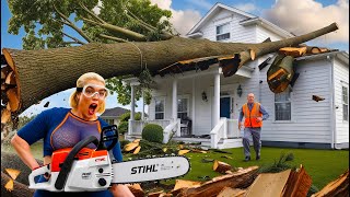 Dangerous Fastest Idiots Cutting Tree Fails Skill With Chainsaw : Tree Falling on Houses #5
