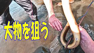 大物ばかり釣れる水路発見‼　　【うなぎ穴釣り】