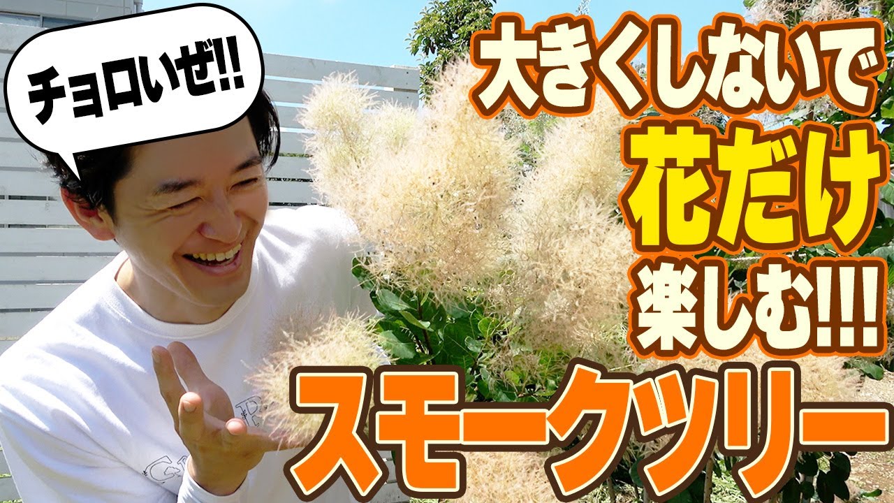 サムネ