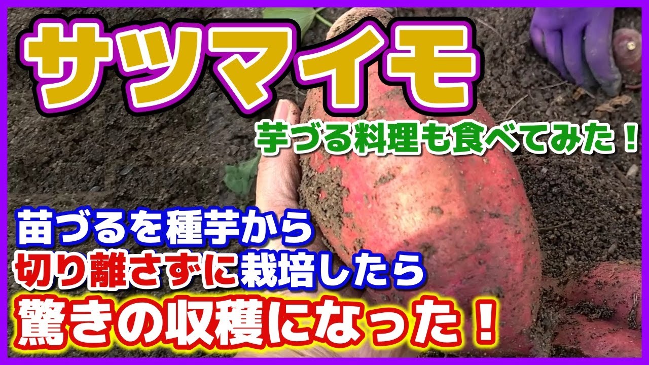 サムネ