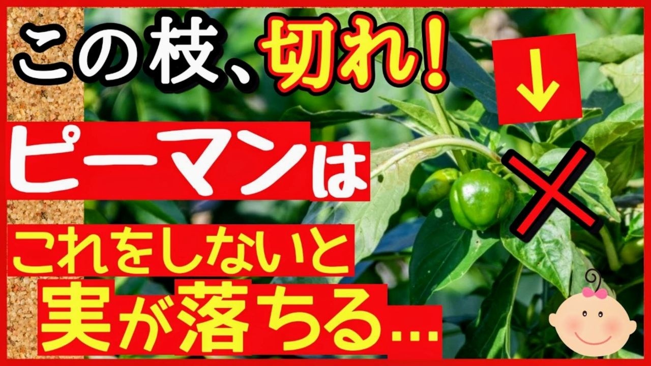 サムネ