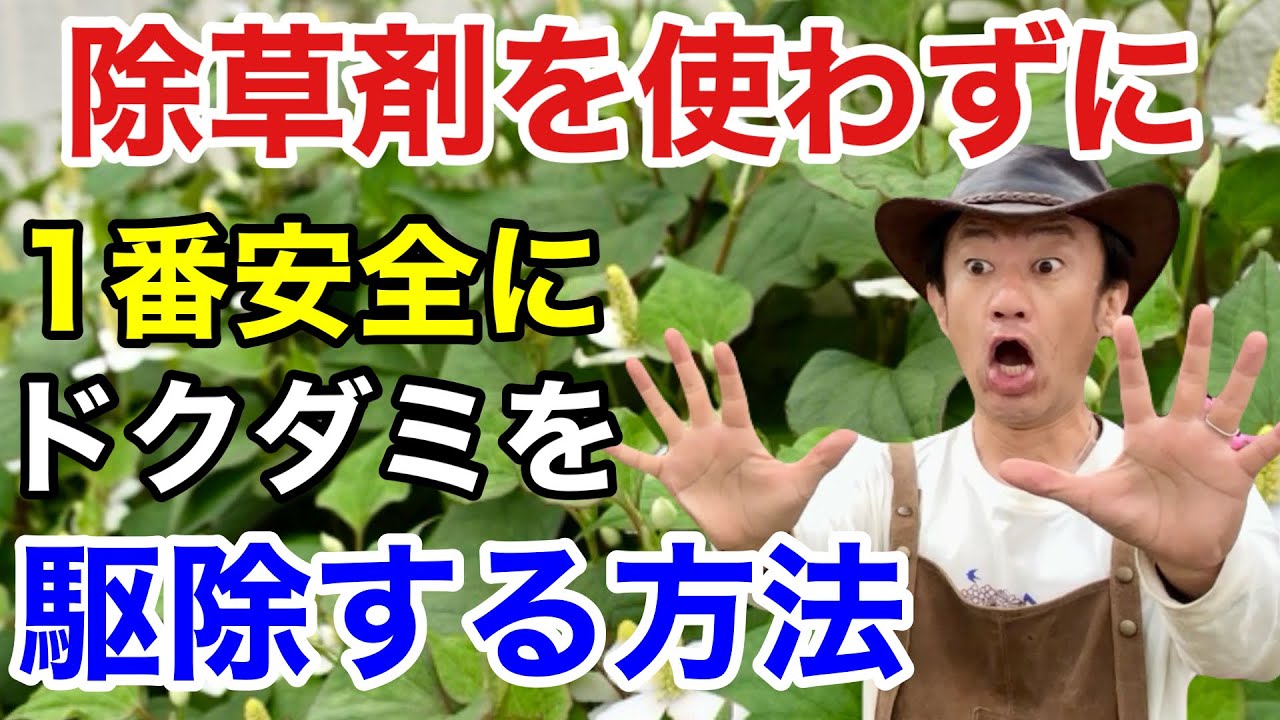 サムネ