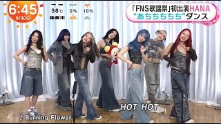HANA インタビュー  FNS歌謡祭 初出演「Burning Flower」めざましテレビ 2025.6.30