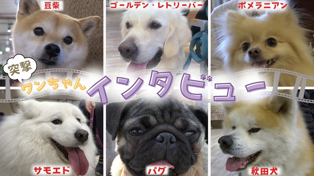 サムネ