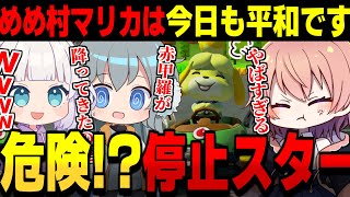 めめ村マリカで停止スターで突撃してくるヤンキーがいるんだが…!?!?!【マリオカート8DX ゆっくり実況】