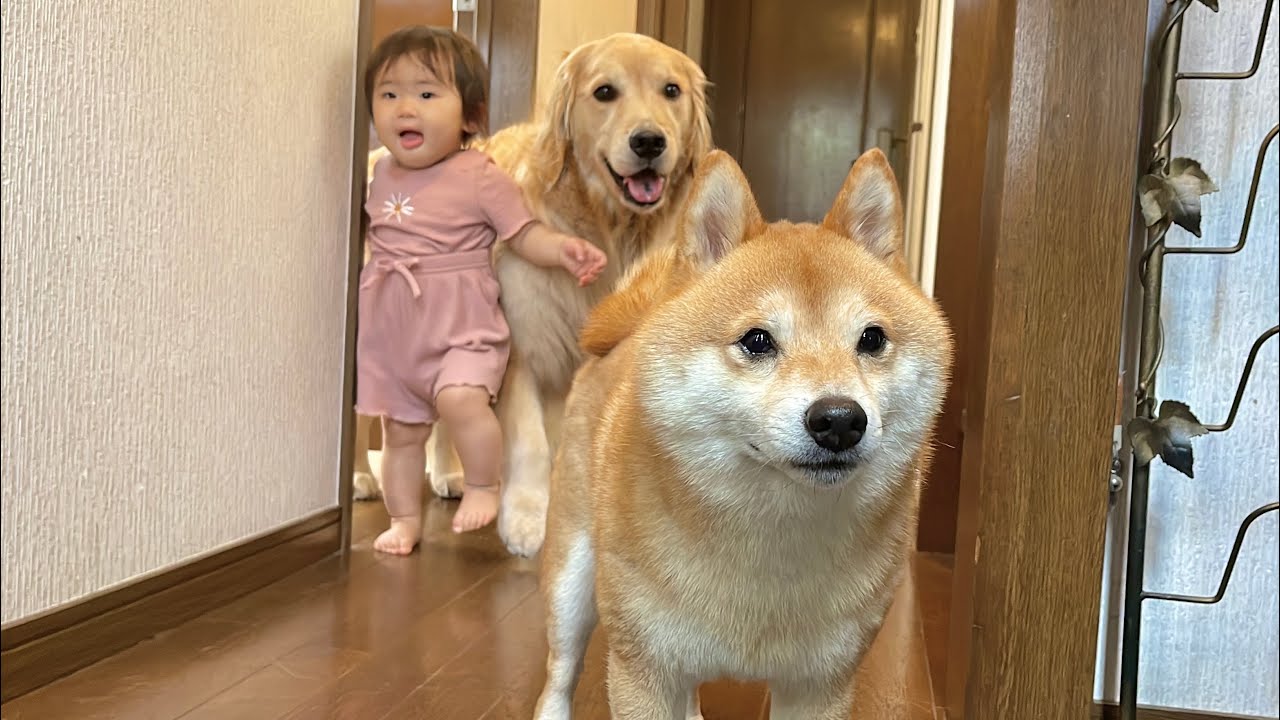 サムネ