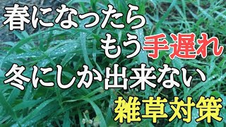 除草剤なし5分で出来る雑草対策｜春以降に草むしり不要の楽できる庭づくり｜Weed control