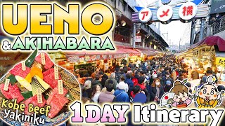 Things to do in Ueno & Akihabara Tokyo / 1-Day Travel Itinerary / Japan