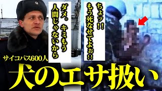 イキりすぎて地球一寒い監獄で犬のエサにされる囚人の素敵な一日ルーティン