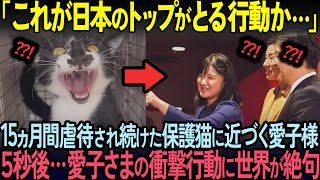 【海外の反応】愛子様が15カ月虐待され続けた保護猫に近づいた5秒後…愛子様の衝撃行動に世界が号泣