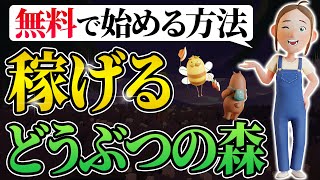 【無料でプレイ】My Neighbor Aliceの魅力を徹底解説！どうぶつの森好きも必見【Web3ゲーム】【NFT】