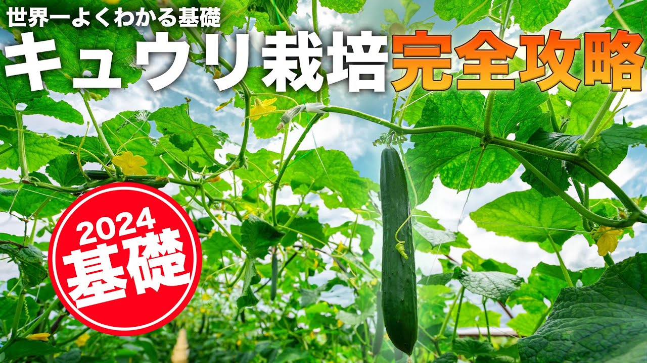 サムネ