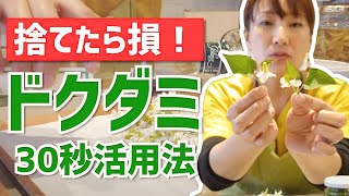 【ドクダミチンキの作り方】たった30秒！どくだみチンキで効果抜群の防虫スプレーや化粧水を！【ドクダミ活用術】