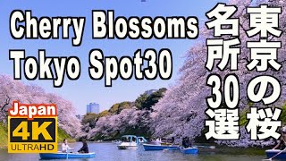 🇯🇵4K 東京の桜名所30選 Tokyo Cherry Blossom(sakura) Japan Spots 30 名所 満開 花見 東京観光 旅行 案内 千鳥ヶ淵 新宿御苑 上野公園 日本の桜