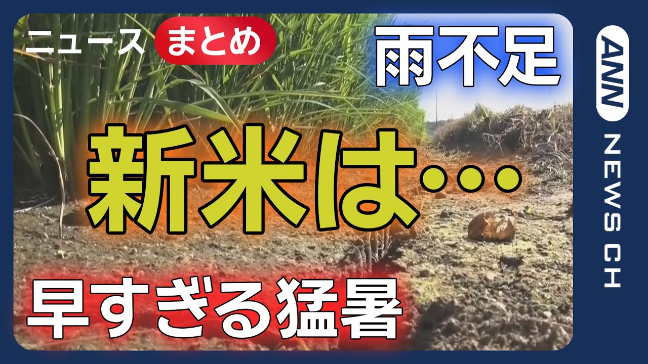 サムネ