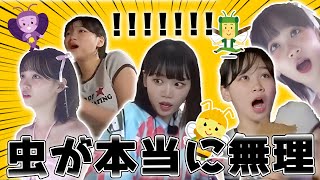 【LE SSERAFIM】虫が怖いチェウォン総集編【チェチェ】