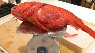 【超激レア魚】なんじゃ！？この魚は？？？？？？？