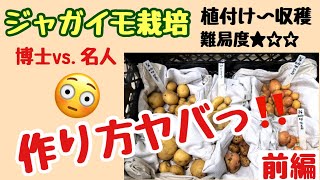 前編【楽ちんすぎて罪悪感を感じるレベル😅】庭でちゃちゃっと育てよう！ #袋栽培 #ジャガイモ #簡単 #種イモ🥔The easiest way to grow potatoes.