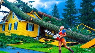 Dangerous Fastest Idiots Cutting Tree Fails Skill With Chainsaw : Tree Falling on Houses #9