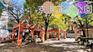東京・大田区の木漏れ日が綺麗な公園【京浜蒲田公園】
