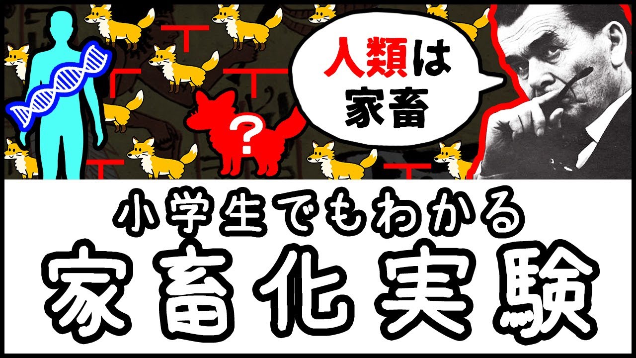 サムネ