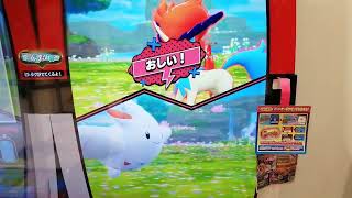 リベンジ！スーパースター「ケルディオ」！とれるか？スーパータッグ第4弾！Revenge Keldeo by super star pokemon