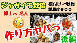 後編【楽ちんすぎて罪悪感を感じるレベル😅】庭でちゃちゃっと育てよう！ #袋栽培 #ジャガイモ #簡単 #種イモ🥔The easiest way to grow potatoes.
