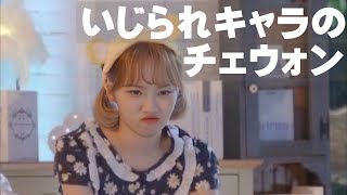 可愛いからいじめられちゃうチェウォン【IZ*ONE/日本語字幕】